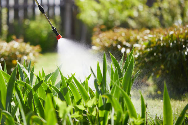 24/7 Emergency Mosquito Control experts in Hideaway, TX